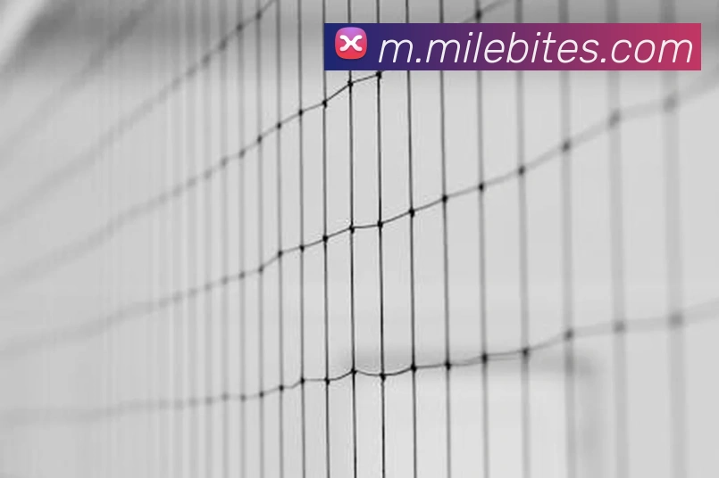 App Interface Preview